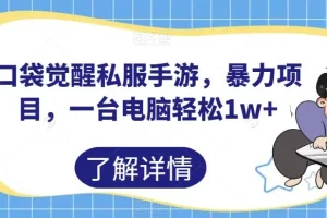 【第5688期】口袋觉醒怎么赚钱：口袋觉醒私服手游，暴力项目，一台电脑轻松1w+【揭秘】