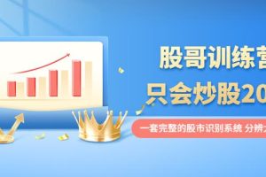 【副业3742】炒股怎么玩：股哥训练营·只会炒股20期：一套完整的股市识别系统