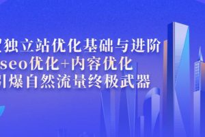 【副业3722】外贸独立站怎么做：外贸独立站seo优化基础与进阶，引爆seo自然流量
