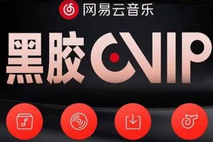 【副业3817】适合上班族的副业兼职：网易云撸黑胶年卡变现副业项目，收益可放大
