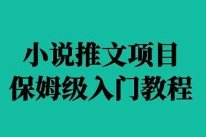 【副业3807】小说推文怎么赚钱：收费6880的小说推文拉新项目，个人工作室可批量