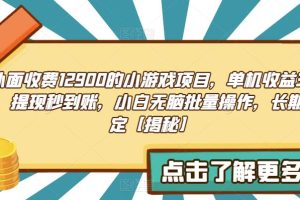 【第5491期】小游戏赚钱项目，单机收益30+，小白无脑批量操作，长期稳定【揭秘】