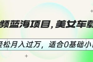 【第5438期】美女车载音乐视频u盘项目：短视频美女车载U盘，0基础轻松月入过W