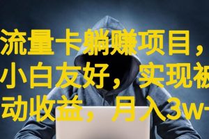 【第5431期】流量卡项目怎么做：小白友好流量卡躺赚项目，被动收益持续赚钱高利润