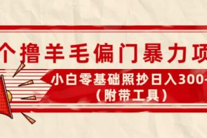 【副业3894】最新撸羊毛副业项目三个：小白零基础照抄日入300+（附带工具）