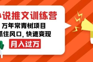 【副业3882】抖音小说推广怎么赚钱：月入过万副业项目，小说推文训练营