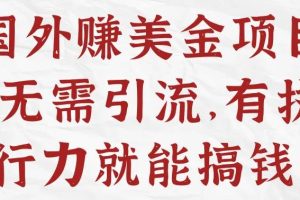 【副业3877】赚美金项目：国外问卷调查+大自然白色噪音Youtube+AI文章写作