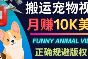 【副业3922】赚美元的项目：两个可以赚美元的副业（视频教程）