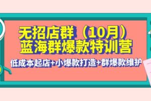【副业3916】无货源店群怎么做：低成本起店+小爆款打造+群爆款维护·群爆款特训营(10月新课)