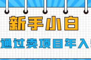 【第5400期】如何卖项目赚钱：新手小白如何通过卖项目实现年入50W+【揭秘】