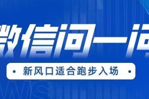 【第5374期】微信问一问怎么赚钱：全网首发微信问一问新风口变现项目（价值1999）