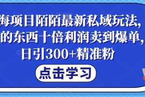 【第5369期】怎么用陌陌赚钱：蓝海项目陌陌最新私域玩法，十倍利润卖到爆单，日引300+精准粉