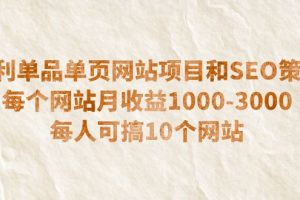【第5351期】单页网站怎么做：暴利单品单页网站项目和SEO策略，单站月收益1000-3000可批量