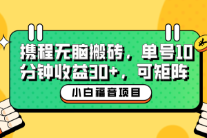 【第5341期】携程搬砖项目：零基础携程无脑搬砖项目，单号操作10分钟收益30+，可矩阵可放大