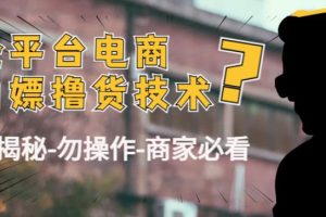 【副业4071期】在家做的副业：外面收费2980的各电商撸货技术（仅揭秘-商家必看）