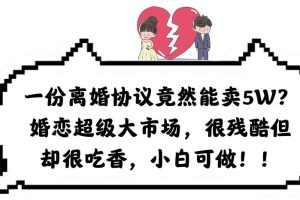【第5200期】小众赚钱项目：一份离婚协议卖5W？婚恋大市场，小白可做很残酷但很吃香