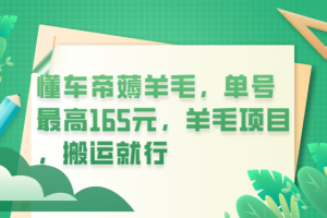 【第5198期】懂车帝赚钱方法：懂车帝薅羊毛，单号最高165元，羊毛项目，搬运项目