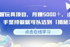 【第5144期】益智玩具如何赚钱：益智玩具项目，月赚5000＋，新手坚持做就可以赚钱【揭秘】