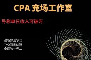 【第5114期】副业做什么好：cpa充场工作室，号称单日收入10000+（揭秘）