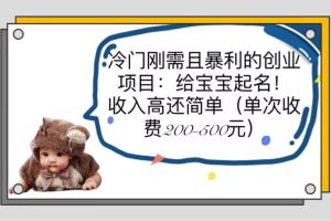 【第5090期】宝宝起名免费自用，冷门刚需且暴利的宝宝起名创业项目（单次200-500）