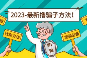 【副业4215期】最新副业反撸骗子方法日赚200+【16个找车方法+发车渠道】视频+文档(2月3日更新)