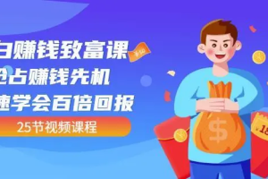 【副业4200期】小白赚钱项目怎么做：小白抢占赚钱先机快速学会百倍回报