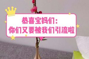 【第5001期】小学资料虚拟资源项目：恭喜宝妈们，又要被我们引流了（教程+222g资料）
