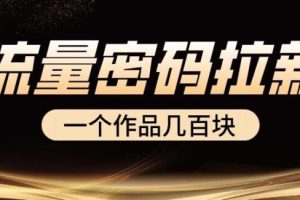 【第4904期】流量拉新项目：一个作品几百块，流量密码拉新项目教程