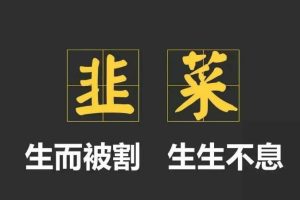 【第4903期】2023割韭菜项目：我靠割韭菜，赚了一百万【仅揭秘】