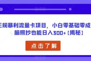 【第4896期】流量卡项目怎么做：正规暴利流量卡项目，零基础零成本无脑日入300+【揭秘】