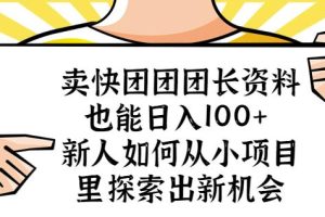 【第4781期】怎么用快团团赚钱：新人小项目新机会，卖快团团团长资料日入100+