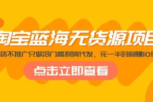 【第4407期】淘宝无货源网店怎么做：淘宝蓝海无货源项目，不囤货不推广只做冷门高利润代发