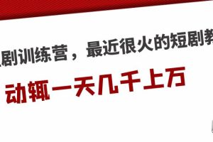 【第4543期】抖音短剧赚钱训练营，最近很火的短剧教程，动辄一天几千上万的收入