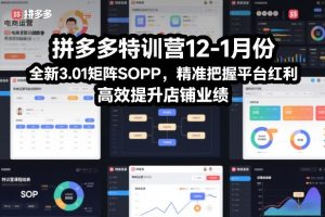 【第9690期】拼多多特训营12-1月份，全新3.01矩阵Sop，精准把握平台红利，高效提升店铺业绩