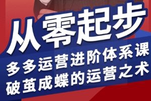【第9627期】海神·拼多多运营进阶系统课，从零起步，多多运营进阶体系课，破茧成蝶的运营之术