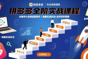 【第9645期】拼多多全阶实战课程，从新手小白到运营高手，海量实战玩法
