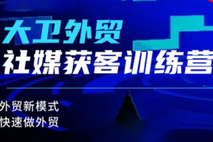 【第9648期】大卫老师·外贸社媒获客独家训练营，外贸新模式，快速做外贸