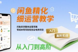 【第9601期】闲鱼精细化运营入门+高阶实战教学，闲鱼卖货整体运营思路，零成本零风险轻创业电商项目