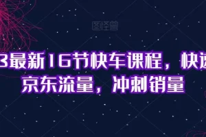 【第5907期】京东快车推广技巧：2023最新16节京东快车课程，快速提升京东流量