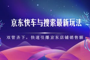 【副业2751期】京东店铺最新玩法：快车与搜索双管齐下，引爆销售额增长