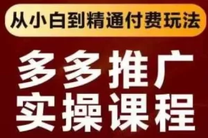 【第9307期】拼多多推广实操课程，从小白到精通付费玩法