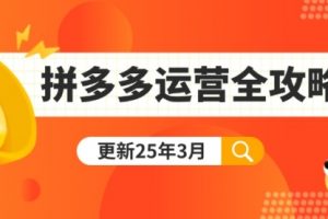 【第9252期】拼多多运营全攻略：从0到日销千单,爆款内功+付费推广+黑科技(更新25年3月)