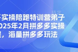 【第9094期】拼多多实操陪跑特训营弟子班，2025年2月拼多多实操课程，海量拼多多玩法