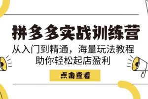 【第9073期】拼多多实战训练营，从入门到精通，海量玩法教程，助你轻松起店盈利