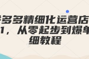 【第8896期】拼多多精细化运营店铺0-1，从零起步到爆单详细教程