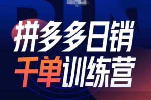 【第8763期】拼多多日销千单训练营第31期-微付费带免费流玩法