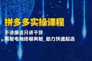 【第8693期】拼多多实操课程：不讲废话只讲干货, 揭秘电商终极奥秘,助力快速起店