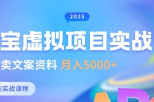 【第9164期】淘宝虚拟项目垂直玩法，新手卖文案资料，月入5k+