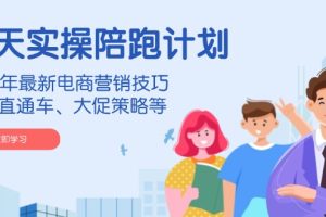 【第8913期】淘天实操陪跑计划，2024年最新电商营销技巧，包括直通车、大促策略等