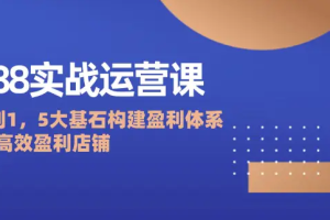【第8838期】1688运营实战教程：店铺定位/商品管理/爆款打造/数字营销/客户服务等